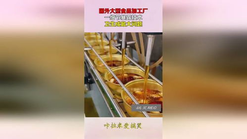 国外大型食品加工厂,一细节暴露技术,卫生成最大问题